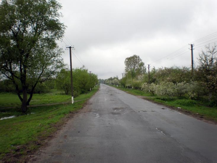Облапи з panoramio.com - Oblapy