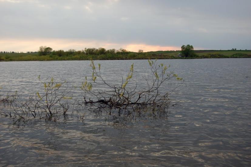 Рогізне з panoramio.com - Рогозное