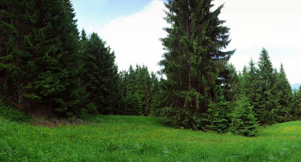 Потік з panoramio.com - Поток