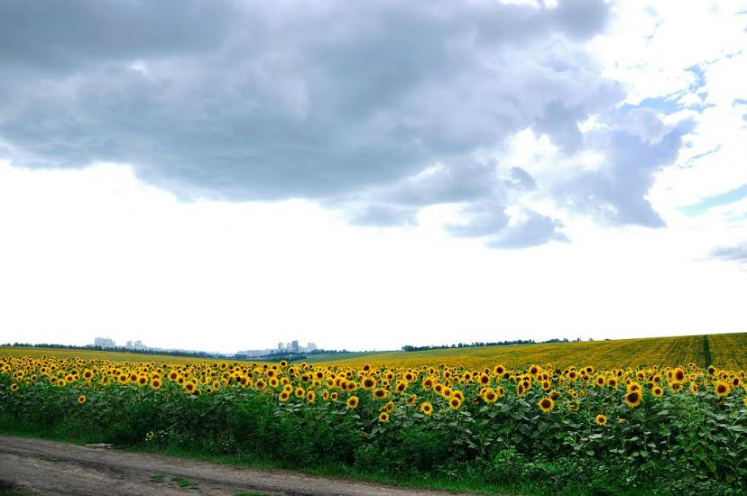 Фрунзе з panoramio.com - Фрунзе