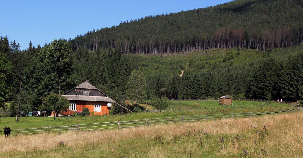 Сенечів з panoramio.com - Сенечев