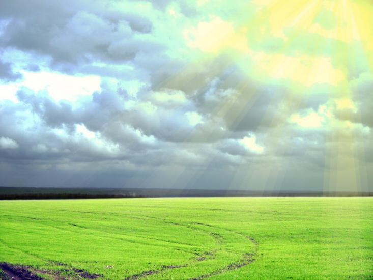 Ашуркове з panoramio.com - Ашуркове