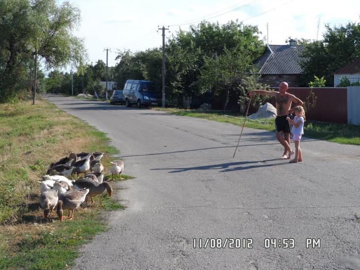 Семенівка з panoramio.com - Семенівка