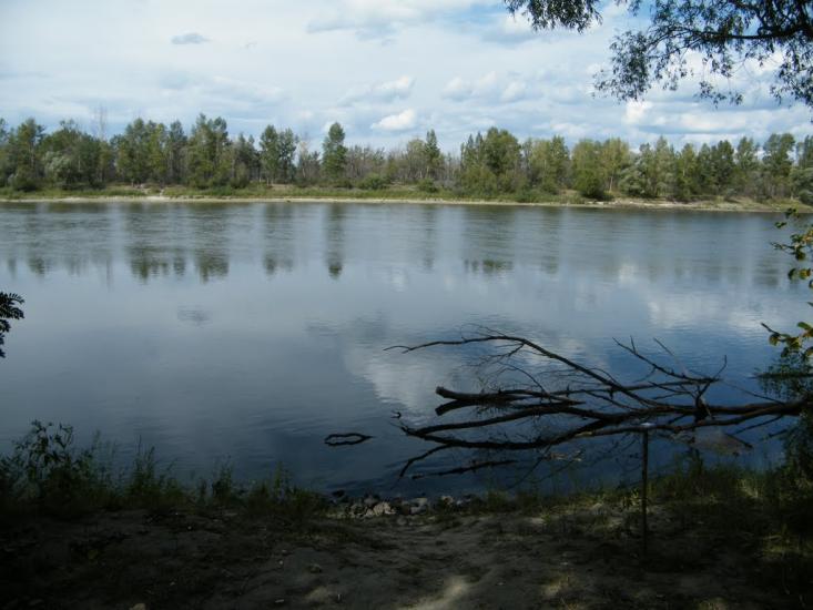 Вища Дубечня з panoramio.com - Высшая Дубечня