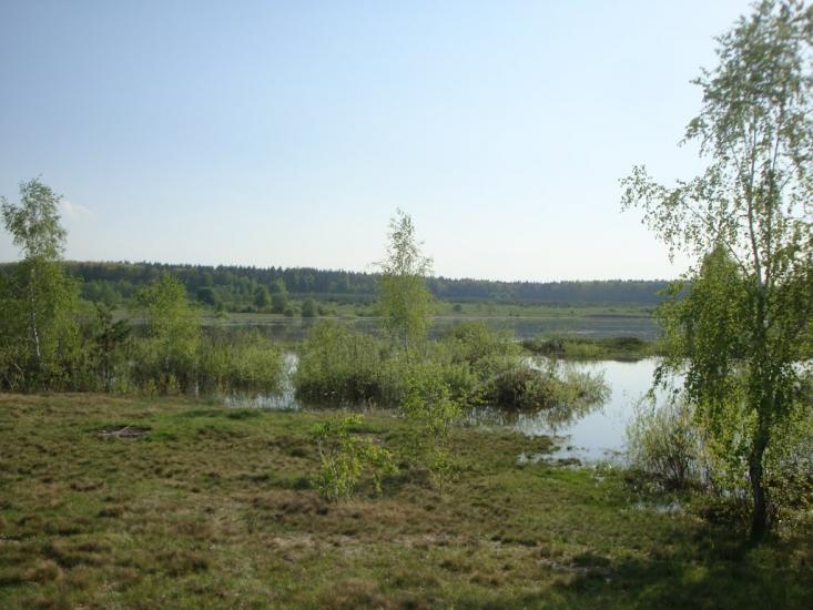 М'ясківка з panoramio.com - М'ясківка