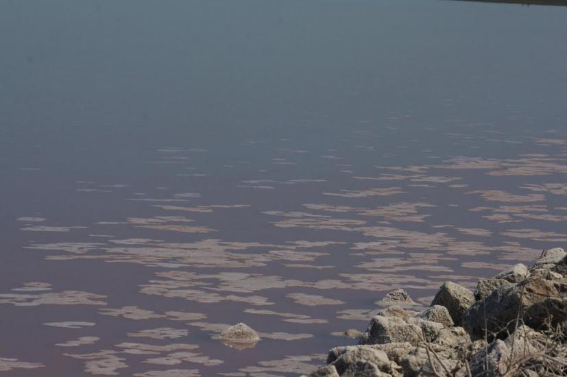 Філатівка з panoramio.com - Филатовка