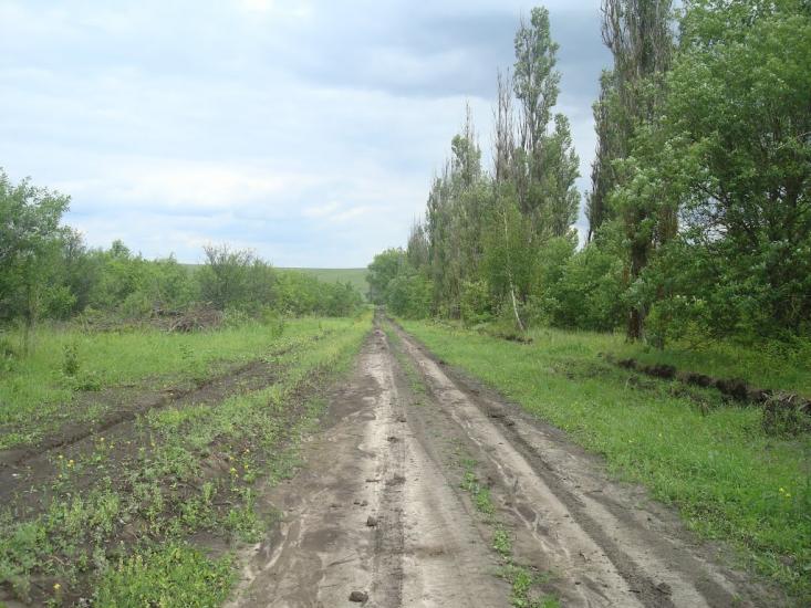 Стуфчинці з panoramio.com - Stufchyntsi
