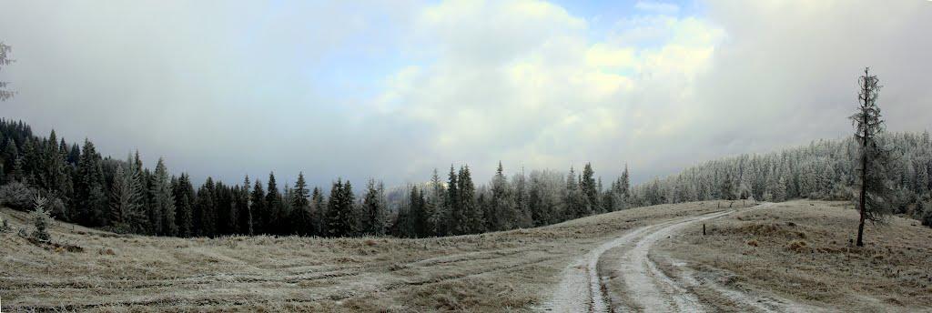 Лавочне з panoramio.com - Лавочное