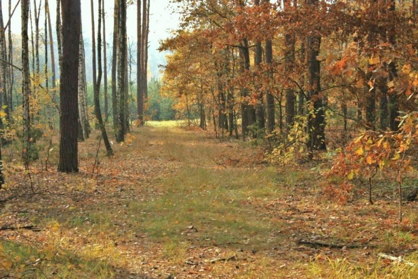 Бурімка з panoramio.com - Burimka
