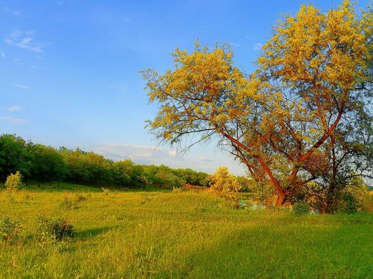 Булавинське з panoramio.com - Булавинське