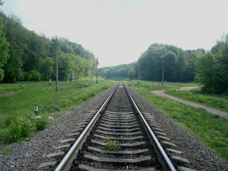 Нестерівці з panoramio.com - Нестеровцы