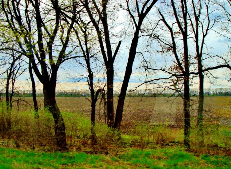 Гребінки з panoramio.com - Гребенки