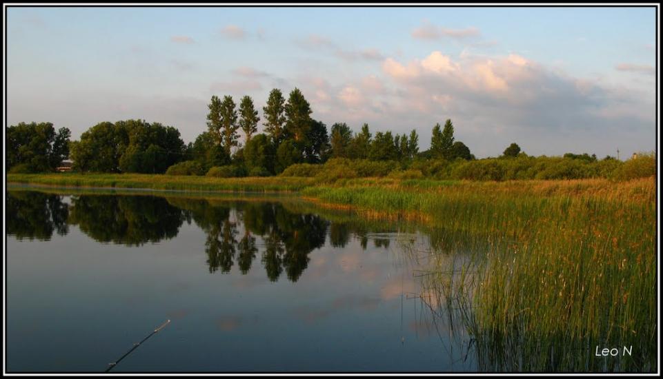 Перковичі з panoramio.com - Перковичі