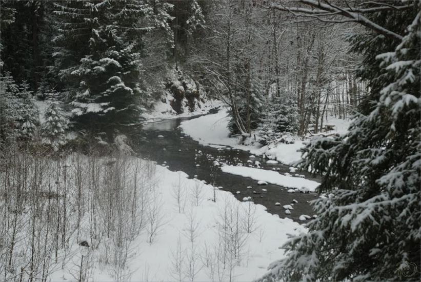 Згари з panoramio.com - Згары