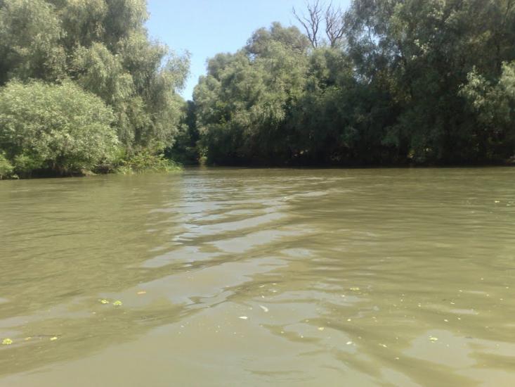 Дунайське з panoramio.com (ч.2) - Дунайське