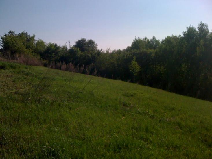 Новоархангельськ з panoramio.com - Novoarkhangelsk