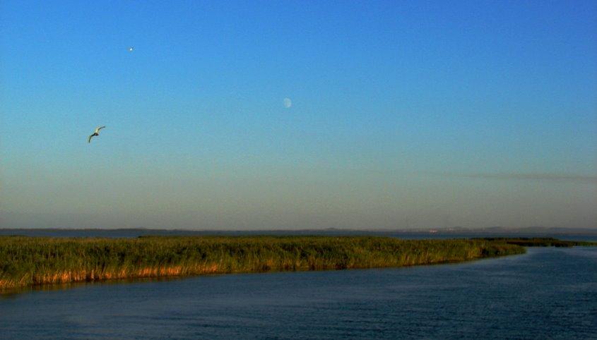 Нова Некрасівка з panoramio.com - Новая Некрасовка