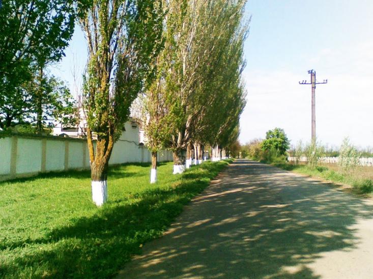 Великодолинське з panoramio.com - Великодолинське