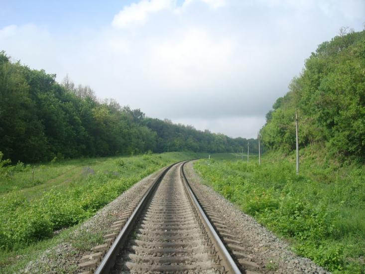 Нестерівці з panoramio.com - Нестеровцы