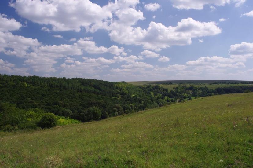 Браїлівка з panoramio.com - Брайловка