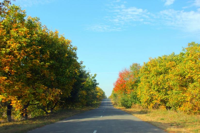 Мала Киріївка з panoramio.com - Mala Kyriyivka