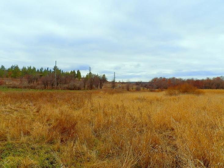 Булавинське з panoramio.com - Bulavynske