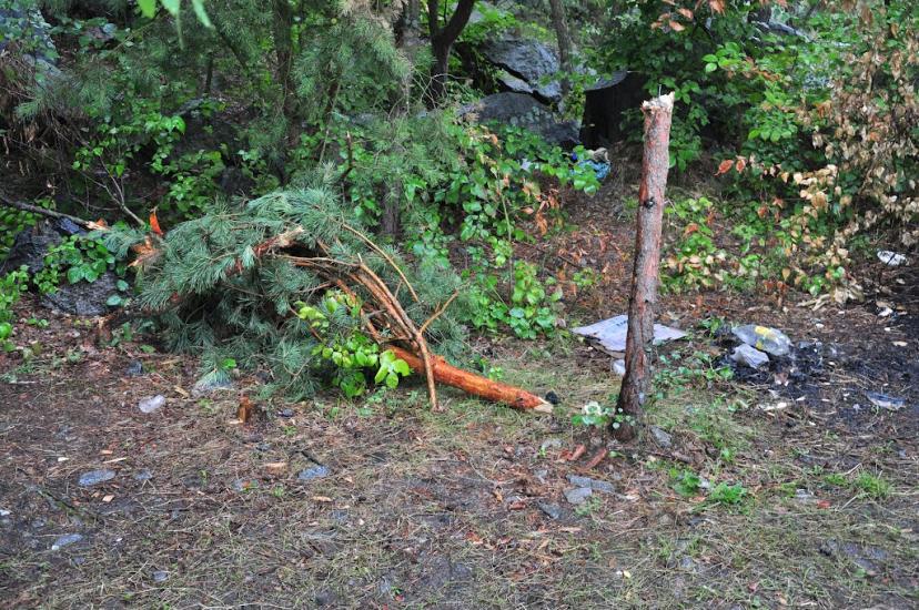 Городище-Пустоварівське з panoramio.com - Gorodysche-Pustovarivske