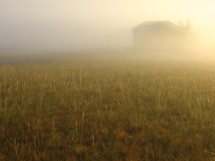 Пискунівка з panoramio.com - Pyskunivka