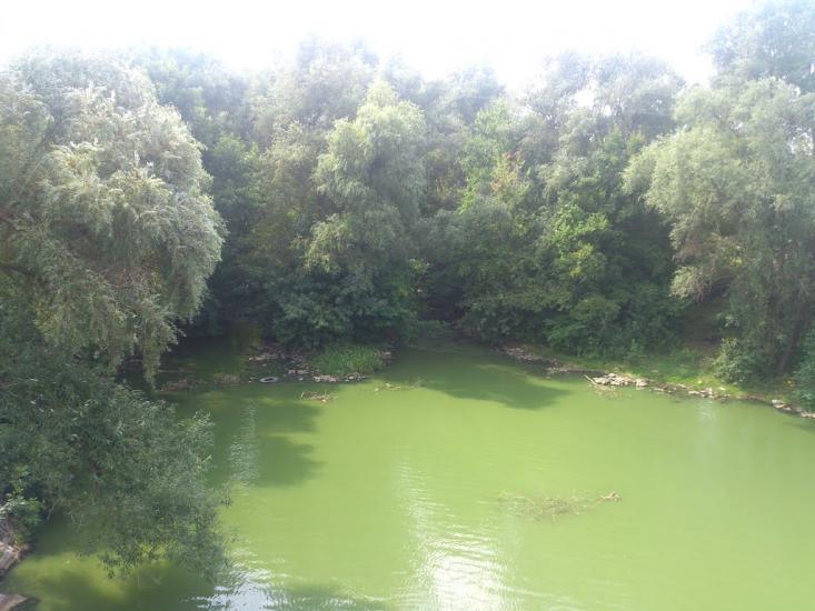 Стебне з panoramio.com - Stebne