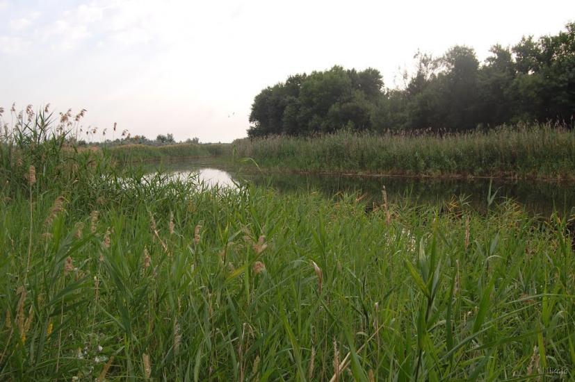 Пристине з panoramio.com - Пристине