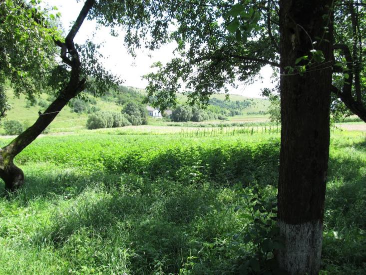 Подусільна з panoramio.com - Подусільна