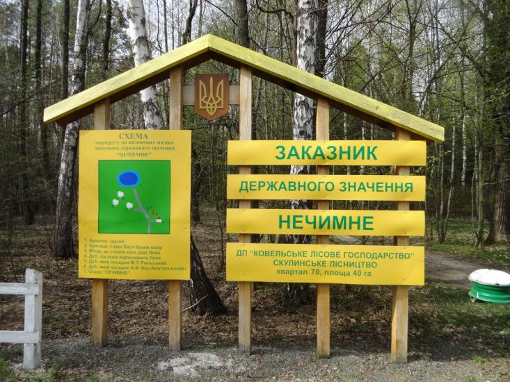 Скулин з panoramio.com - Скулин