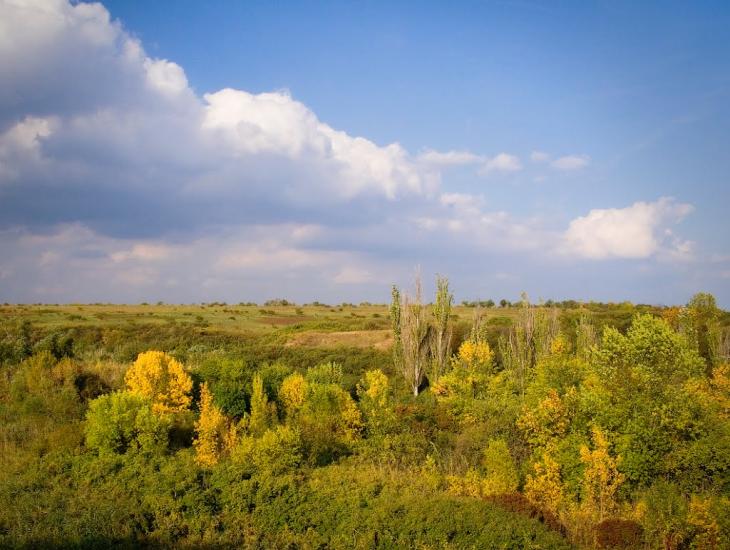 Куликівське з panoramio.com - Куликовское