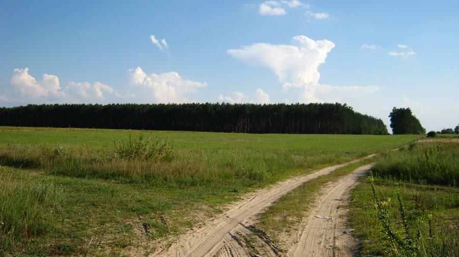 Залісся з panoramio.com - Залісся