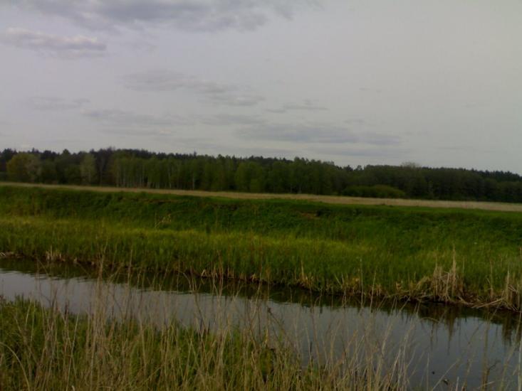 Березань з panoramio.com - Berezan