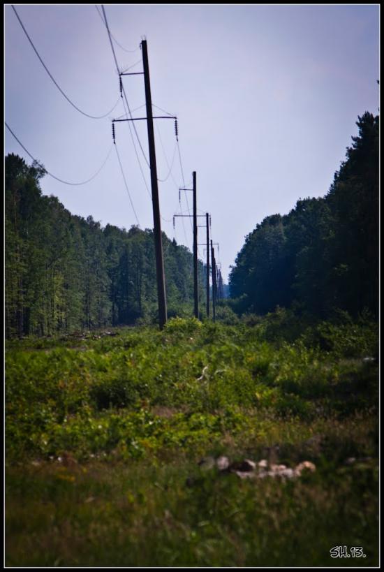 Лісопіль з panoramio.com - Лесополь
