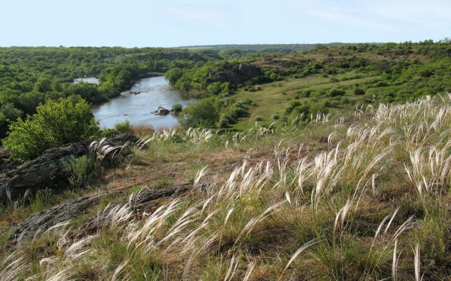 Куріпчине з panoramio.com - Kuripchyne