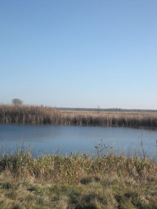Любитове з panoramio.com - Любитове