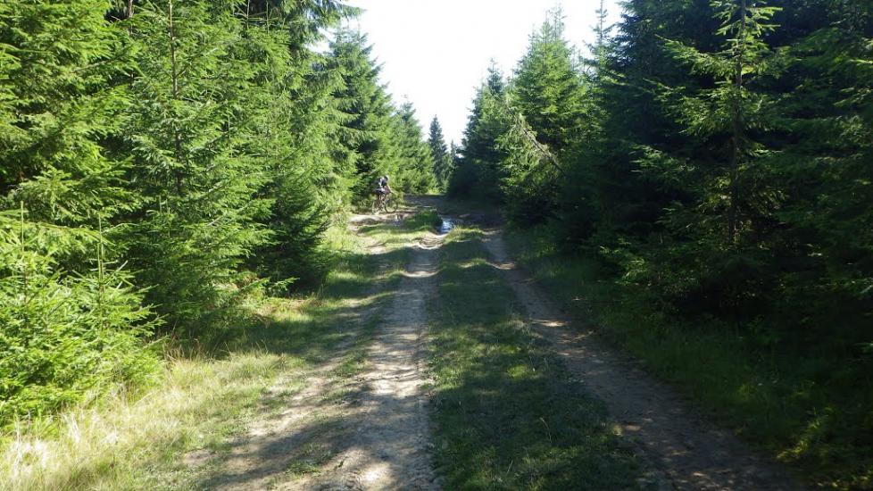 Завийка з panoramio.com - Завийка