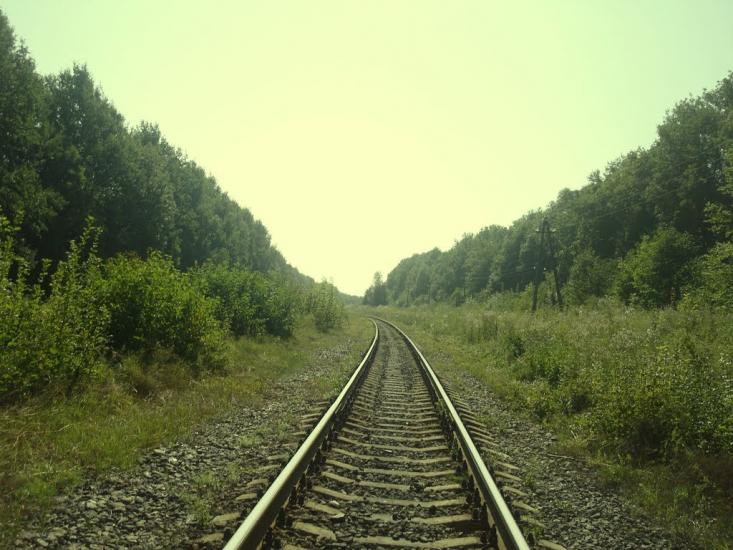 Тарасівка з panoramio.com - Тарасовка