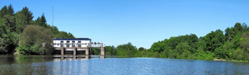 Вільха з panoramio.com - Ольха