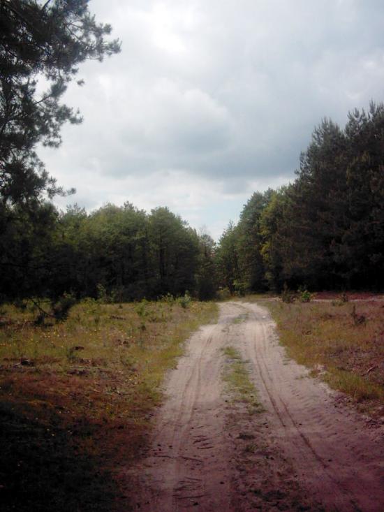 Лисняки з panoramio.com - Lysnyaky