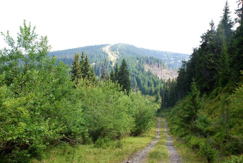 Бребоя з panoramio.com - Breboya