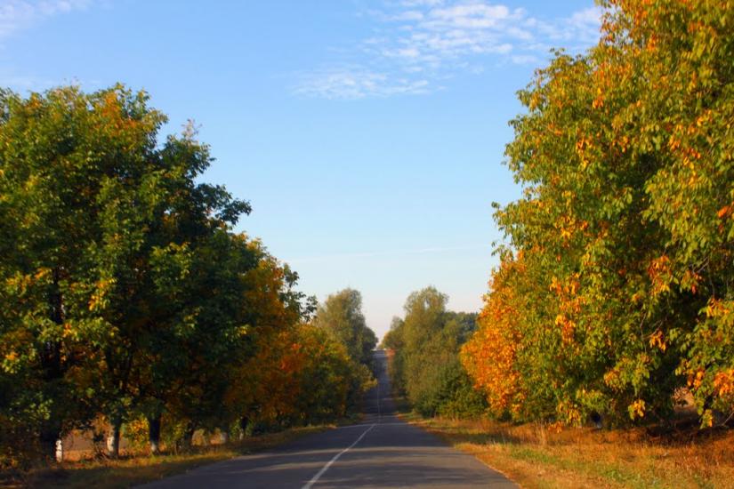Мала Киріївка з panoramio.com - Mala Kyriyivka