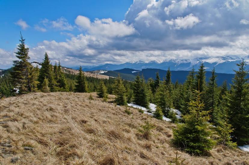 Кривопілля з panoramio.com - Кривопілля
