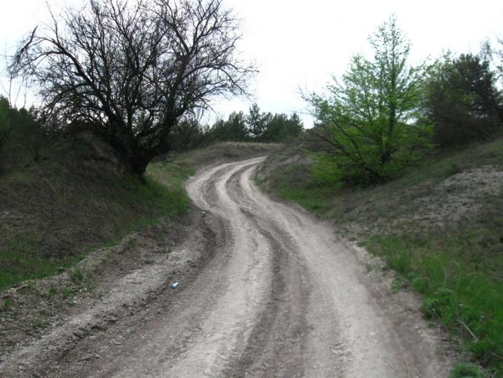 Пискунівка з panoramio.com - Pyskunivka