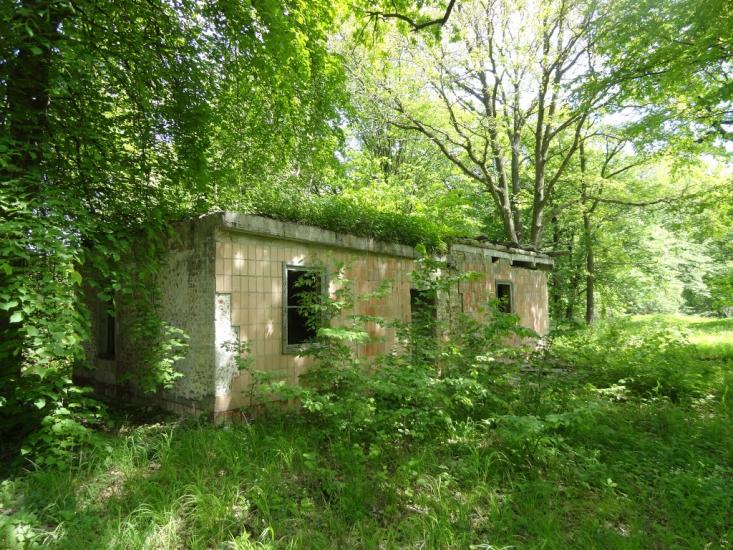 Веселе з panoramio.com - Веселое