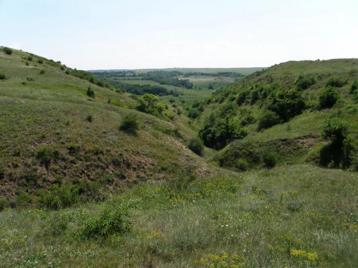 Киселеве з panoramio.com - Киселево