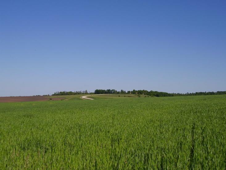 Коржівці з panoramio.com - Korzhivtsi