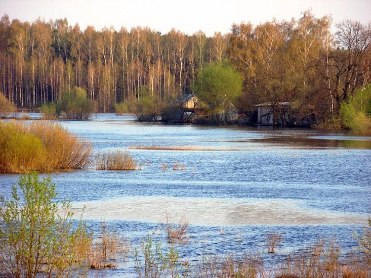 Люб'язь з panoramio.com - Любязь